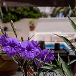 D View 4 فيلة *