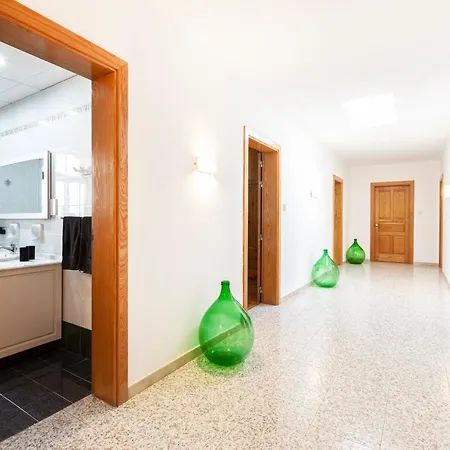 D View 4 מליאהה